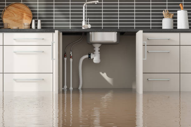 Best Water damage restoration near me  in Trexlertown, PA