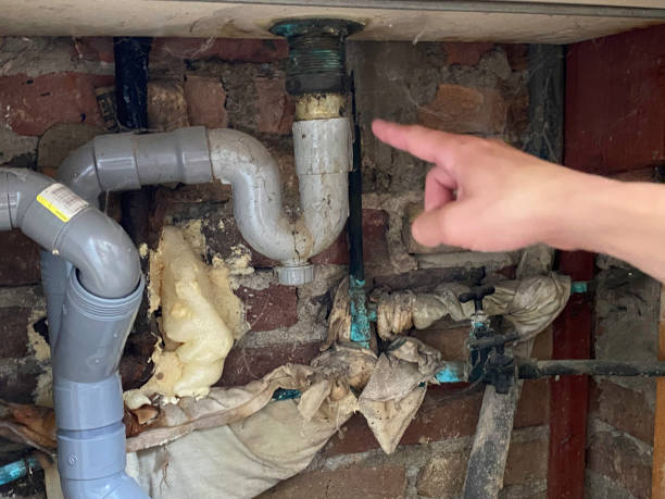 Best Ceiling water damage repair  in Trexlertown, PA