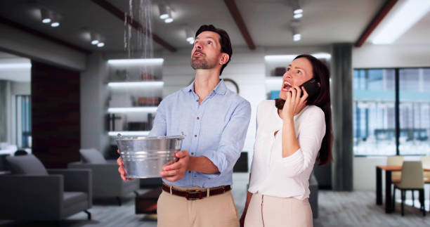 Best 24/7 water damage repair  in Trexlertown, PA
